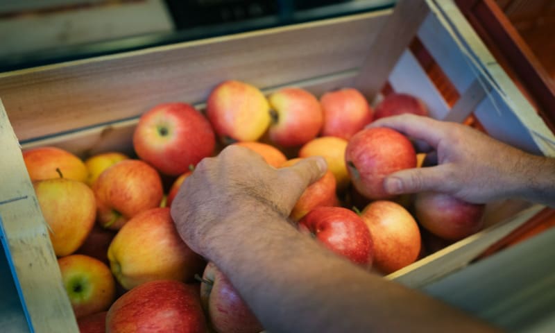 IGP-pommes-de-Savoie-varietes-de-pomme-Syndicat-des-Fruits-de-Savoie