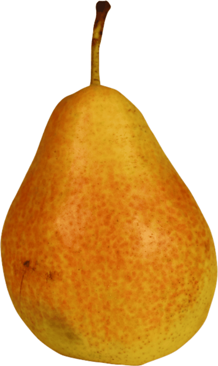 Poire-IGP-de-Savoie-Louise-Bonne-d-Avranches