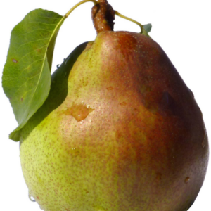 Poire IGP de Savoie - Poire Doyenné du Comice