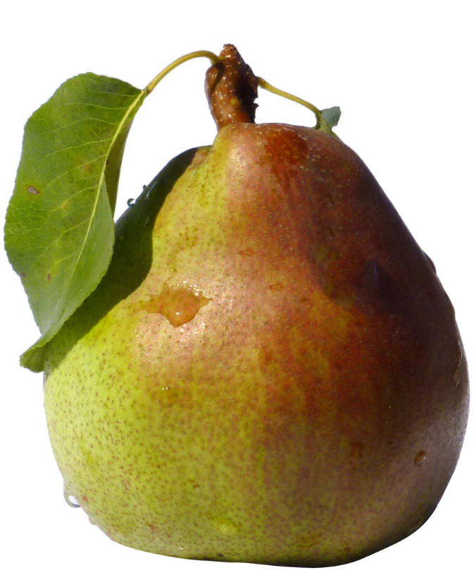 Poire IGP de Savoie - Poire Doyenné du Comice