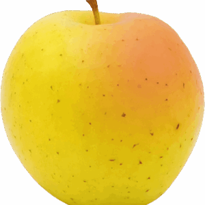 Pomme-IGP-de-Savoie-Goldrush