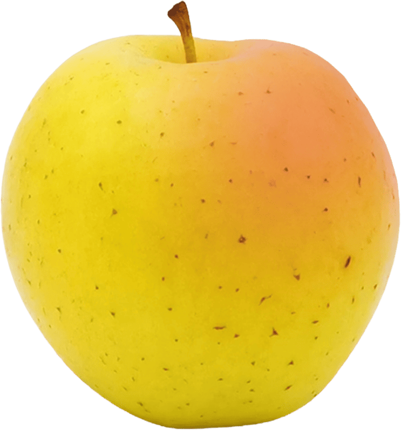 Pomme-IGP-de-Savoie-Goldrush