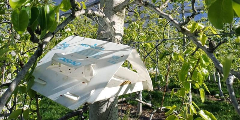 IGP de savoie protection naturelle pour une agriculture raisonnée