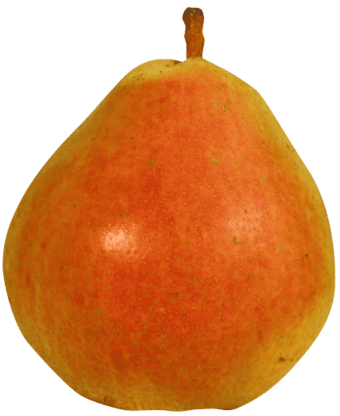 Poire IGP de Savoie-variete Doyenné du Comice