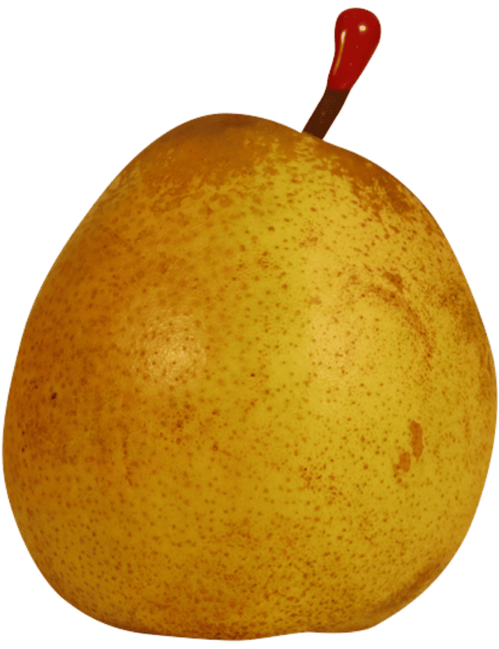 Poire IGP de Savoie-variete Passe-Crassane
