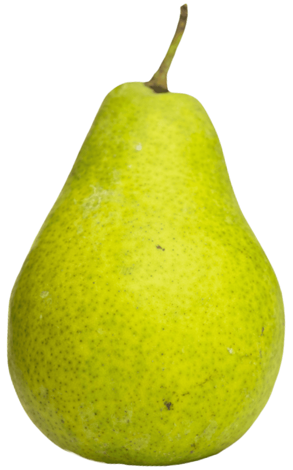 Poire IGP de Savoie-variete Williams