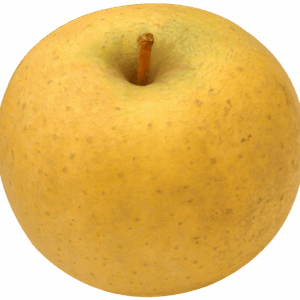 Pomme IGP de Savoie-variété Belchard® Chantecler