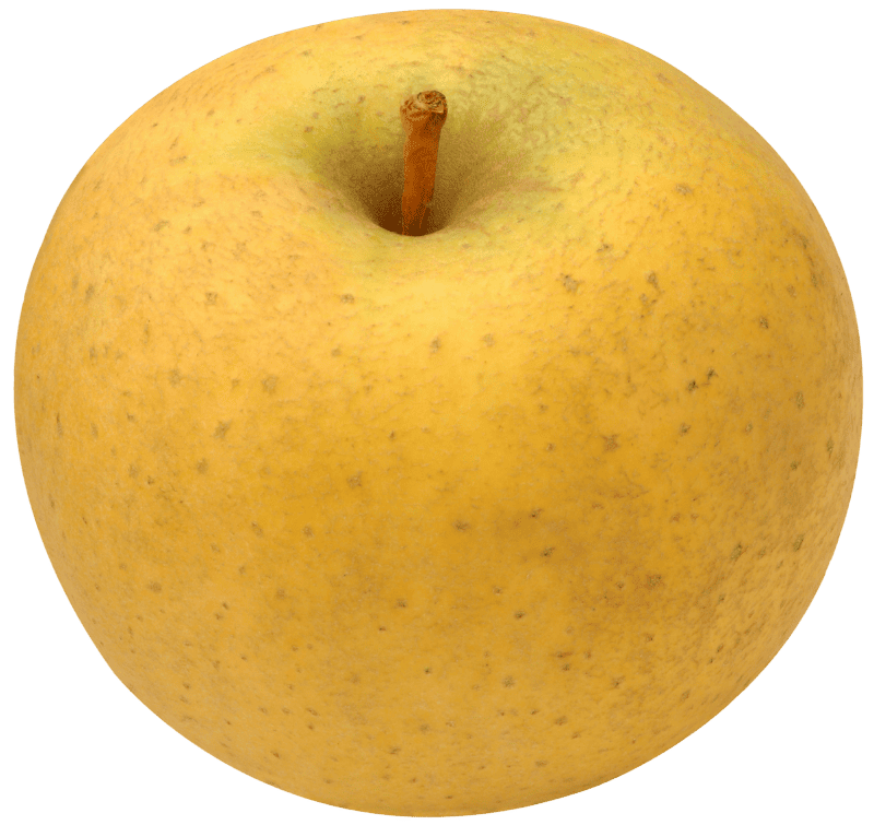 Pomme IGP de Savoie-variété Belchard® Chantecler