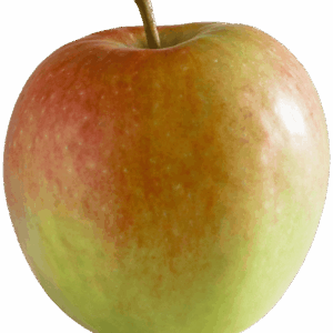 Pomme IGP de Savoie-variété Delcorf Delbardestivale