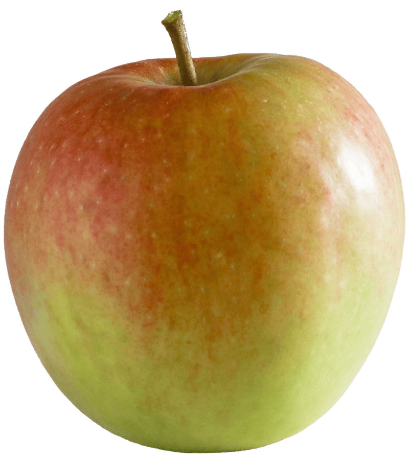Pomme IGP de Savoie-variété Delcorf Delbardestivale