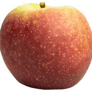 Pomme IGP de Savoie-variété Delgollune Delbard Jubilé®