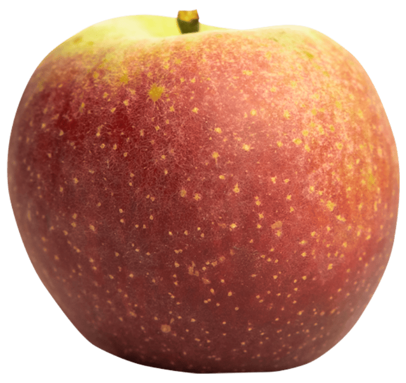 Pomme IGP de Savoie-variété Delgollune Delbard Jubilé®