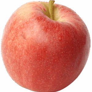 Pomme IGP de Savoie-variété Elstar