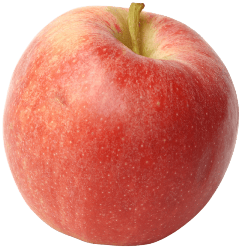 Pomme IGP de Savoie-variété Elstar