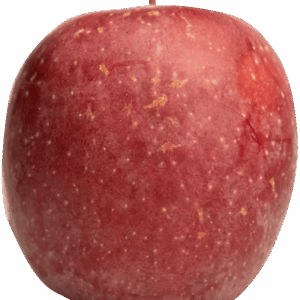 Pomme IGP de Savoie-variété Fuji