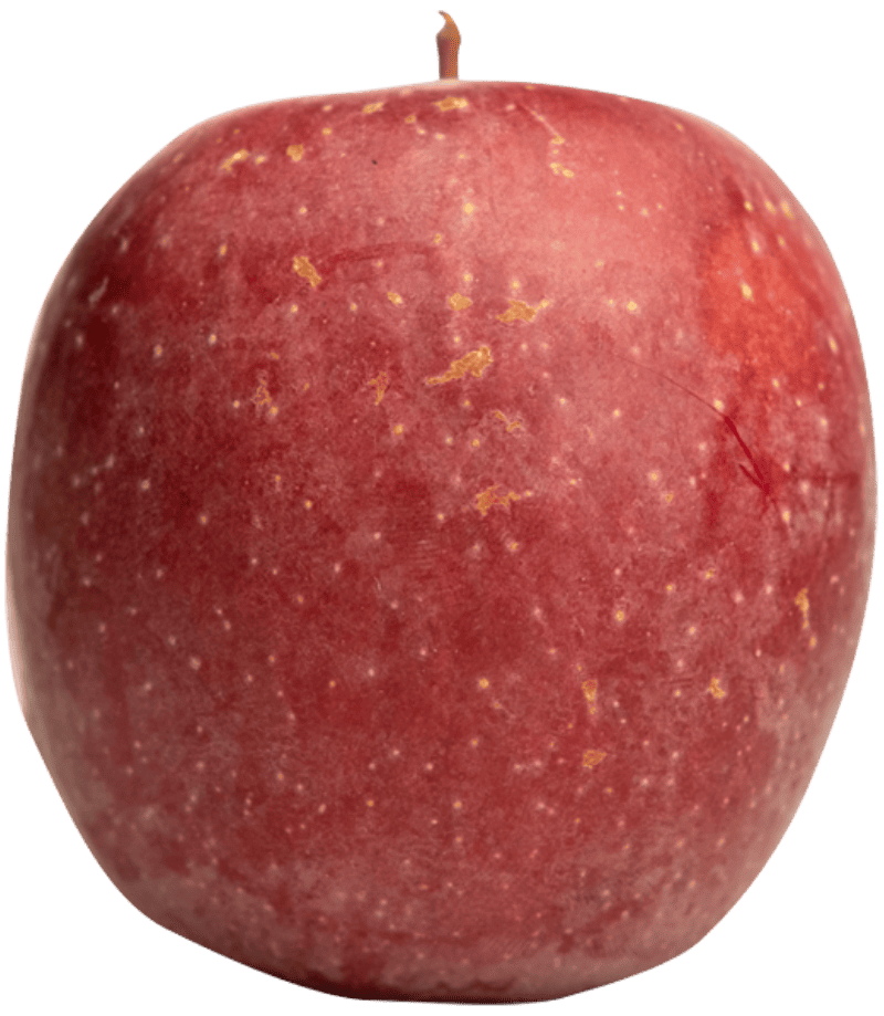 Pomme IGP de Savoie-variété Fuji