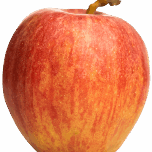 Pomme IGP de Savoie-variété Gala