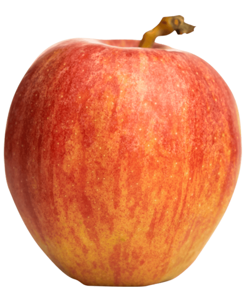 Pomme IGP de Savoie-variété Gala