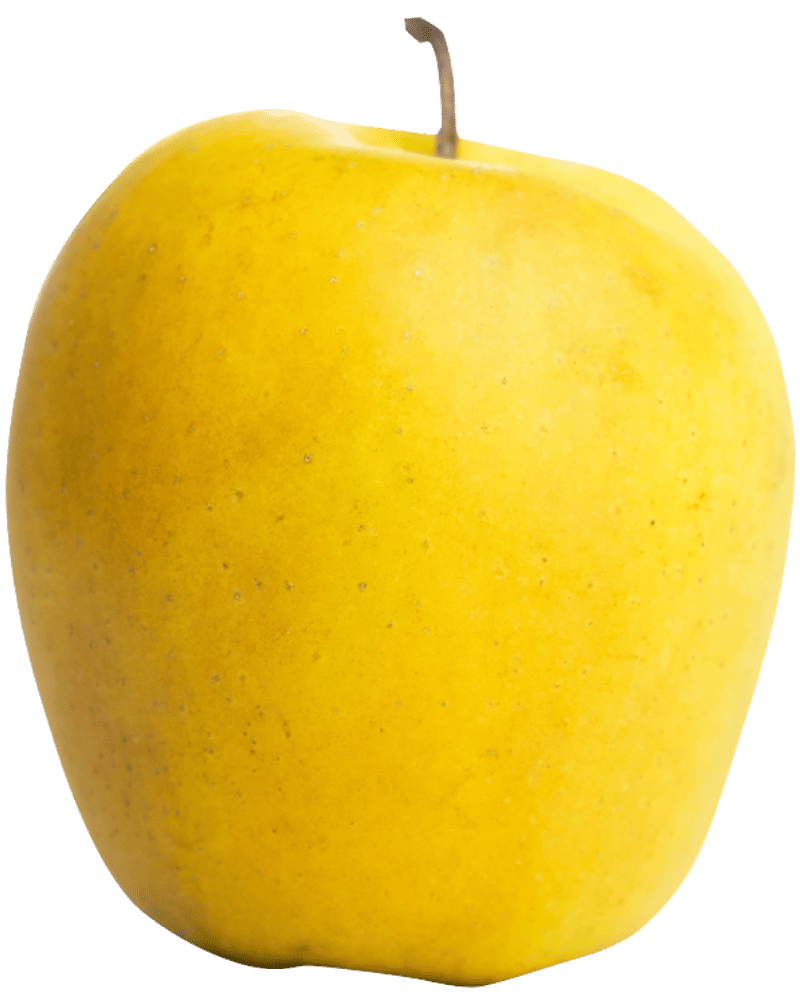 Pomme IGP de Savoie-variété Golden Delicious