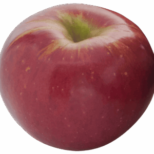 Pomme IGP de Savoie-variété Idared