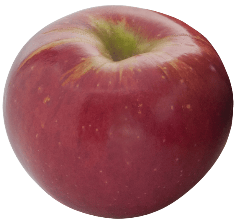 Pomme IGP de Savoie-variété Idared