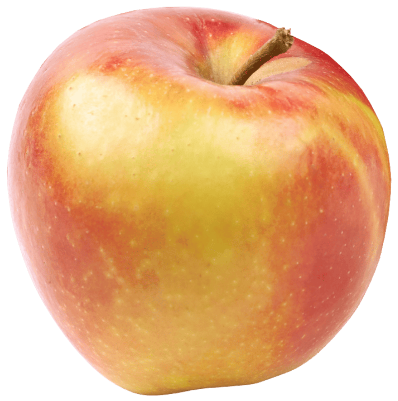 Pomme IGP de Savoie-variété Jonagold