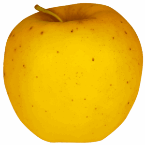 Pomme IGP de Savoie-variété Opal