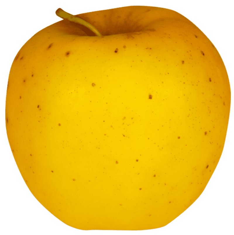 Pomme IGP de Savoie-variété Opal