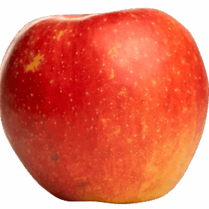 Pomme IGP de Savoie-variété Pinova