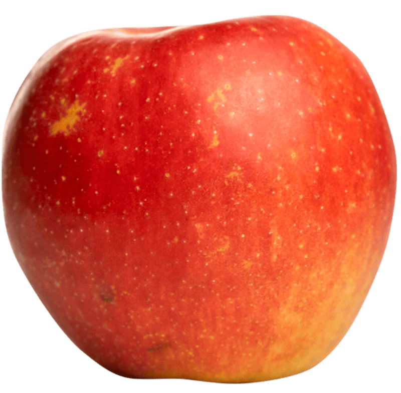 Pomme IGP de Savoie-variété Pinova