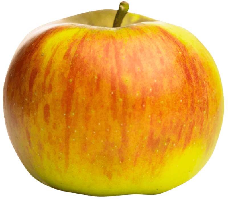 Pomme IGP de Savoie-variété Reine des Reinettes