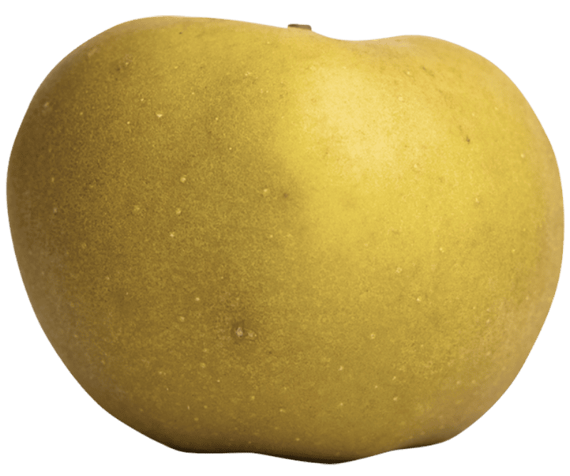 Pomme IGP de Savoie-variété Reinette grise du Canada