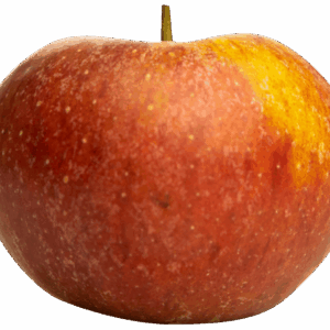 Pomme IGP de Savoie-variété Suntan