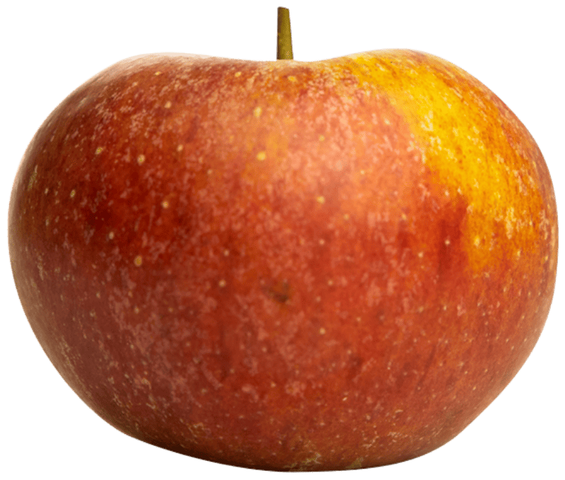 Pomme IGP de Savoie-variété Suntan