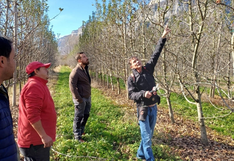 Prestation Formation à la taille des pommiers et poiriers IGP de savoie