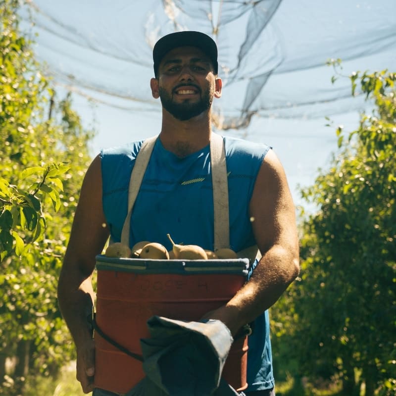 Syndicat-des-Fruits-de-Savoie-homme dans les vergers